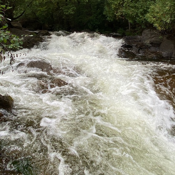 Meet your Posher, Kored - Picture 1 of 1